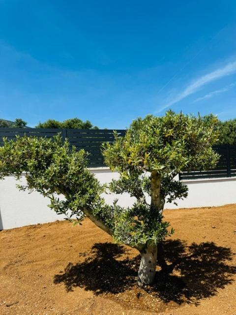 Guest House Lena, Nerezine, Mali Losinj Exterior photo